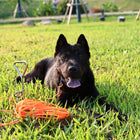 Heavy Duty Dog Tie Out Cable with Stake, Waterproof PVC Double Dog Leash for Yard Camping