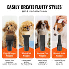 2000W Professional Dog Dryer with 4 Interchangeable Nozzles & Extendable Hose