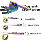 Durable Waterproof TPU Dog Leash & Collar Combo | Heavy Duty Honeycomb Design for Training