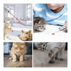 Pet Fun 3-in-1 Toy Pack: USB Rechargeable Laser, Flashlight & UV Light for Hours of Entertainment