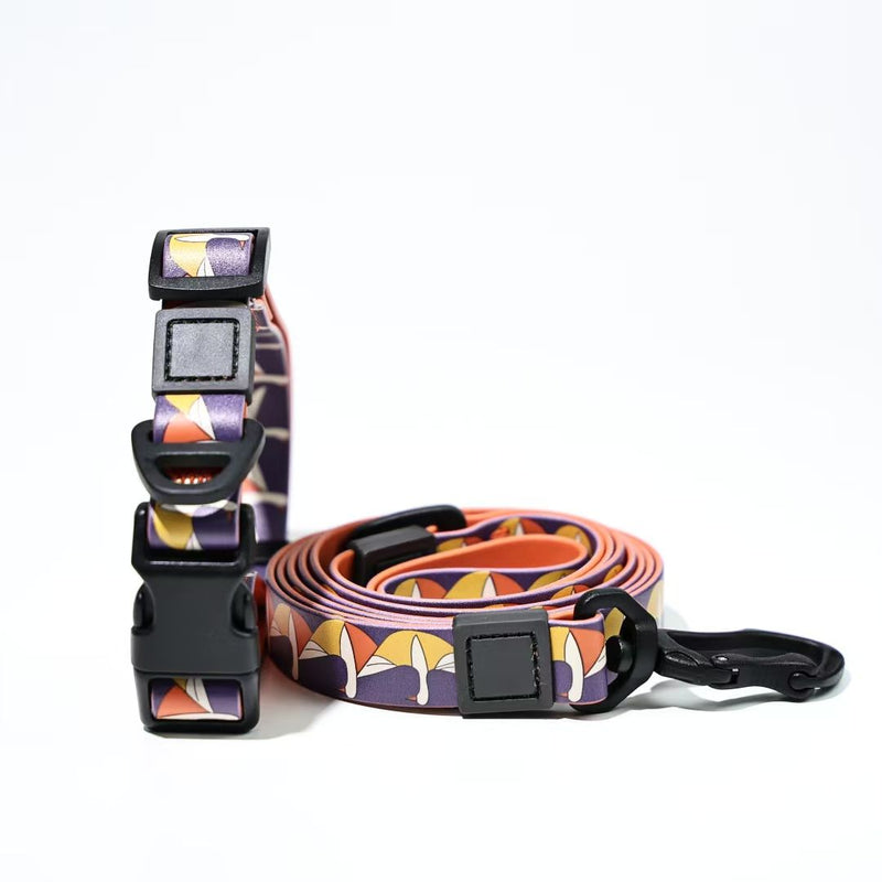 Trendy PVC Dog Lead & Collar Set - Waterproof and Fashionable for Every Dog