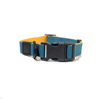 Durable Waterproof TPU Dog Leash & Collar Combo | Heavy Duty Honeycomb Design for Training