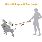 Tangle-Free Dual Dog Leash with Reflective Features and Comfortable Padded Handle