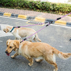 Tangle-Free Dual Dog Leash with Reflective Features and Comfortable Padded Handle