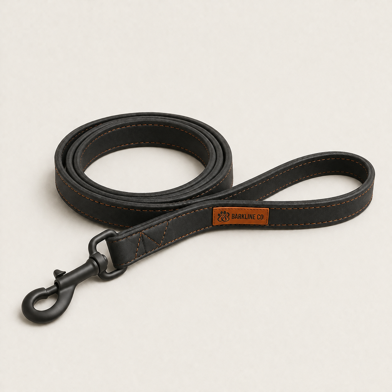 Leashes and Walking