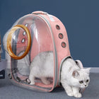 Comfortable Bubble Pet Backpack - Ideal for Cats and Small Dogs, Waterproof & Travel-Friendly