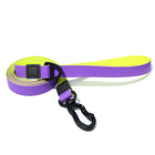 Durable Waterproof TPU Dog Leash & Collar Combo | Heavy Duty Honeycomb Design for Training