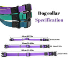 Durable Waterproof TPU Dog Leash & Collar Combo | Heavy Duty Honeycomb Design for Training