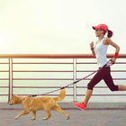 Tangle-Free Dual Dog Leash with Reflective Features and Comfortable Padded Handle