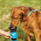 Portable 500ml Dog & Cat Water Bottle for Outdoor Adventures