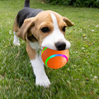 Happy and Intelligent Dog Toy - Stimulating Rolling Ball for Dogs and Cats