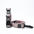 Trendy PVC Dog Lead & Collar Set - Waterproof and Fashionable for Every Dog