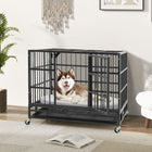 Durable 38 Inch Collapsible Metal Dog Crate with Secure Rolling Wheels & Easy-Clean Tray
