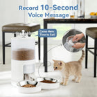 Automatic 6L Cat Feeder for Multiple Pets - Timed Food Dispenser with Voice Recorder