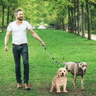 Tangle-Free Dual Dog Leash with Reflective Features and Comfortable Padded Handle