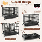 Durable 38 Inch Collapsible Metal Dog Crate with Secure Rolling Wheels & Easy-Clean Tray