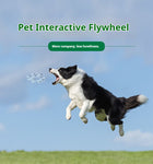 Pet Friendly Flywheel Toy - Elevate Your Dog's Playtime Experience with Interactive Fun