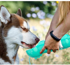 Ultimate 4-in-1 Portable Pet Water Bottle with Food Storage and Poop Bag Dispenser