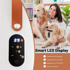 Adjustable Pet Hair Blower with Ion Function for Efficient Drying