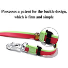 Festive Waterproof Dog Collar and Leash Bundle with Adorable Charms for Small and Medium Breeds