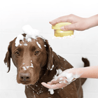 Soft Silicone Pet Hair Comb & Bath Brush for Dogs - Gentle Scalp Massager and Shampoo Tool