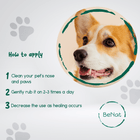 BeNat Eco-Friendly Pet Grooming Set - Nourishing Paw & Nose Balm, Calming Lavender Dog Soap, Plus Quick-Dry Microfiber Bath Towel
