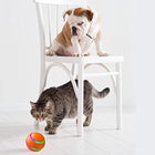 Happy and Intelligent Dog Toy - Stimulating Rolling Ball for Dogs and Cats