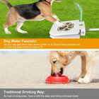 Pet-Friendly Outdoor Water Fountain - Paw Activated Sprinkler Dispenser for Hydrating Dogs