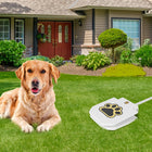 Pet-Friendly Outdoor Water Fountain - Paw Activated Sprinkler Dispenser for Hydrating Dogs