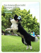 Pet Friendly Flywheel Toy - Elevate Your Dog's Playtime Experience with Interactive Fun