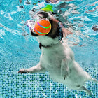 Happy and Intelligent Dog Toy - Stimulating Rolling Ball for Dogs and Cats