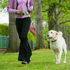 16.5FT Heavy-Duty Automatic Retractable Dog Leash with Comfortable Grip Handle