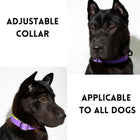 Durable Waterproof TPU Dog Leash & Collar Combo | Heavy Duty Honeycomb Design for Training
