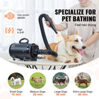 2000W Professional Dog Dryer with 4 Interchangeable Nozzles & Extendable Hose
